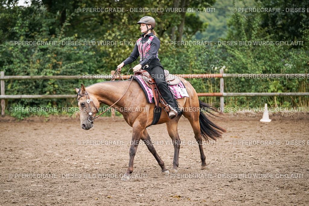 DSC02518 | Pferdegrafie