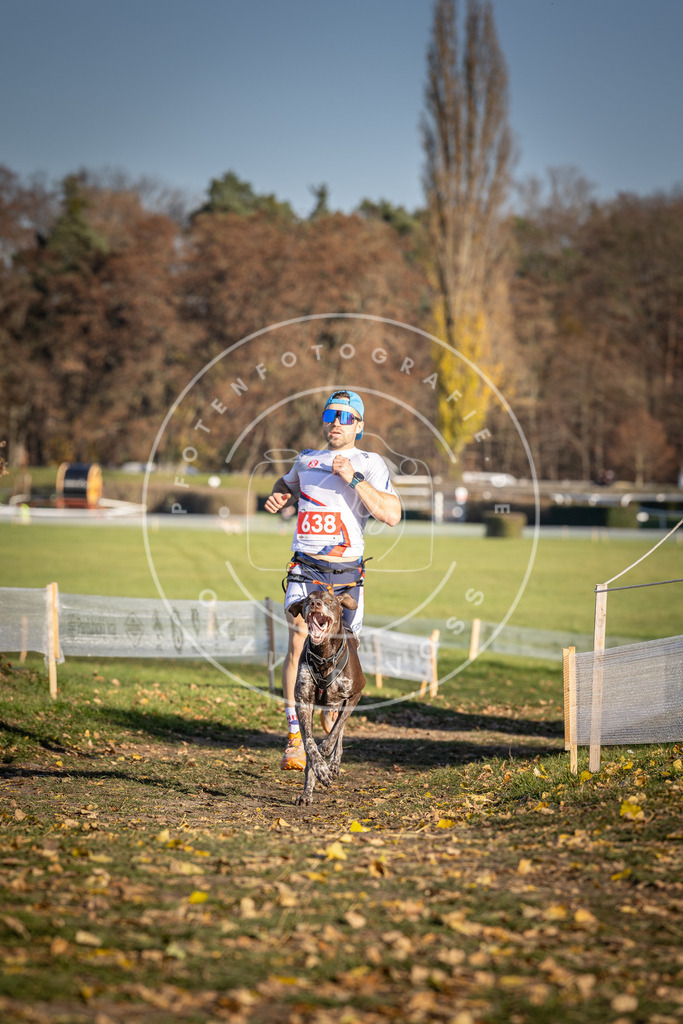 CaniXpix_DV3A0258 | Hundefotografie, Tierfotograf, Pfotenfotografie, Fotoshooting Hund, Hunde Portrait, Hundesport, Hundeportraits, Heideshooting, Hunde, Sportfotograf, Hundefotograf, Turnierhundsport, THS,  - Realisiert mit Pictrs.com