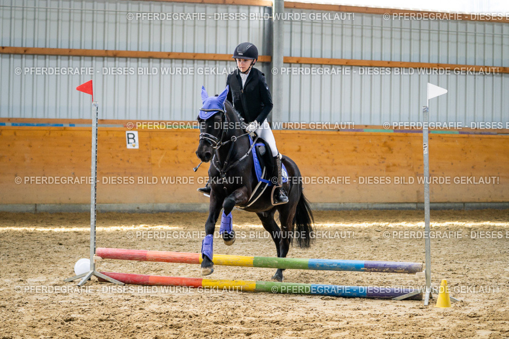 DSC02159 | Pferdegrafie