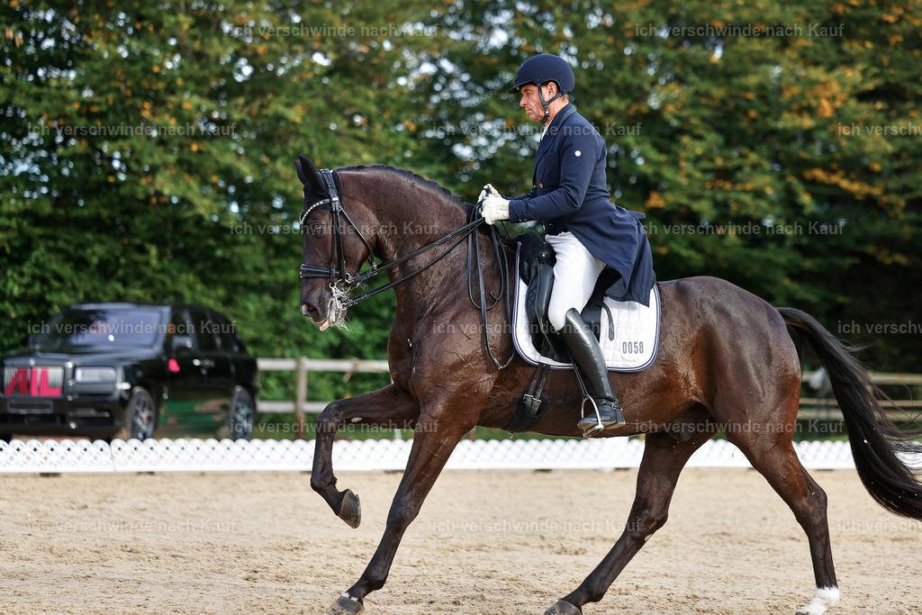 13-058-S___ -StoibPH-7010 | working equitationturnier fotograf videograf stoibphotography marixx film working equitation deutschland reitsport turnierfotografie eventfotografie equestrian events