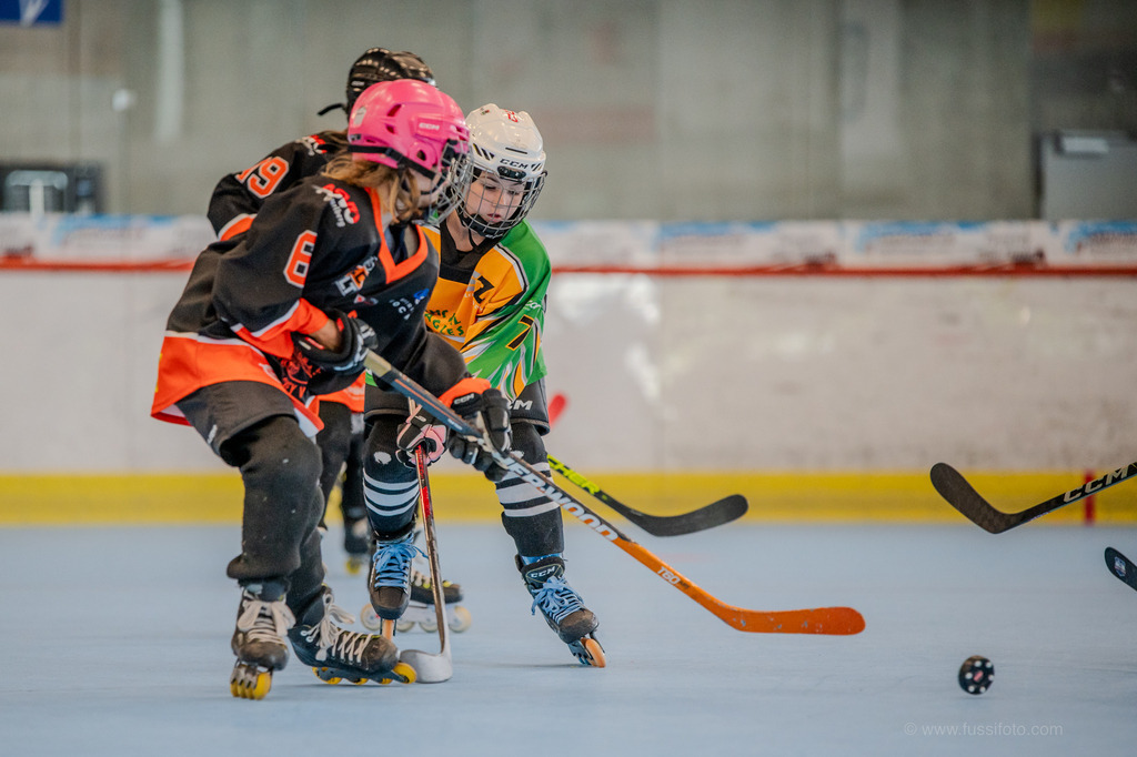 DSC_6339 | "Fussifoto.com – Ihr Ansprechpartner für hochwertige Fotografie! Entdecken Sie kreative Bilder und professionelle Dienstleistungen. Kontaktieren Sie uns für Ihre Projekte!"