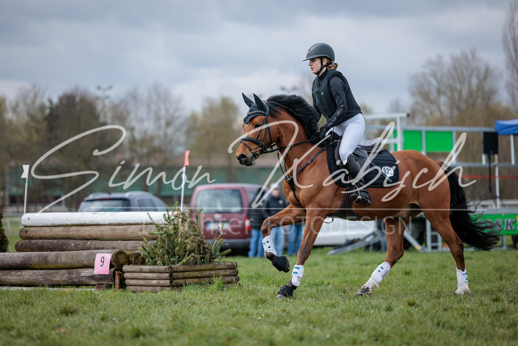 20260329-_3LI4647 | Tierfotografie Pferde, Hunde, Katzen, Haustiere.
Turnierfotografie Reitturniere, Reiten, Springreiten, Dressur in Hanau, dem Main-Kinzig-Kreis und dem Rhein-Main- Gebiet um Frankfurt