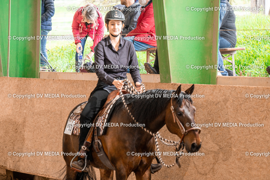 BAL00417 | dv-media-shop - Realisiert mit Pictrs.com