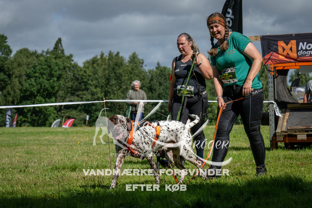 1105_ZZ91851 | kk-dogfotos