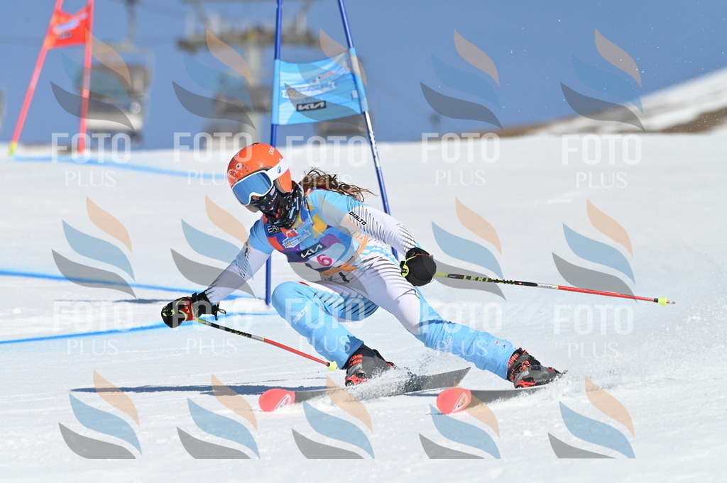 BGV_7673 | holidayphoto