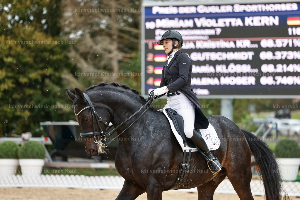 8_1-118-Klasse S_  -StoibPH-3905 | working equitationturnier fotograf videograf stoibphotography marixx film working equitation deutschland reitsport turnierfotografie eventfotografie equestrian events