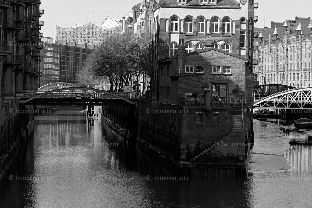 Hamurg_Arts-005 | Photo Foto Kunst Art schwarzweiss Bilder Rheine Münster Berlin Blumen 