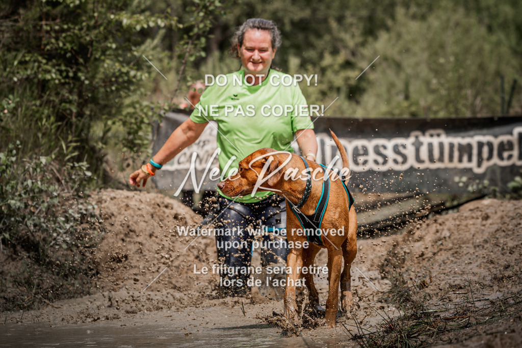 nelerasche_Hoope2026_Sa1200-1230_732 | nelerasche