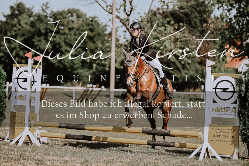 DSC_9380 | Pferde- und Turnierfotografie in Westsachsen. Pferdeportraits, Auftragszeichnungen und intuitive Kunst.