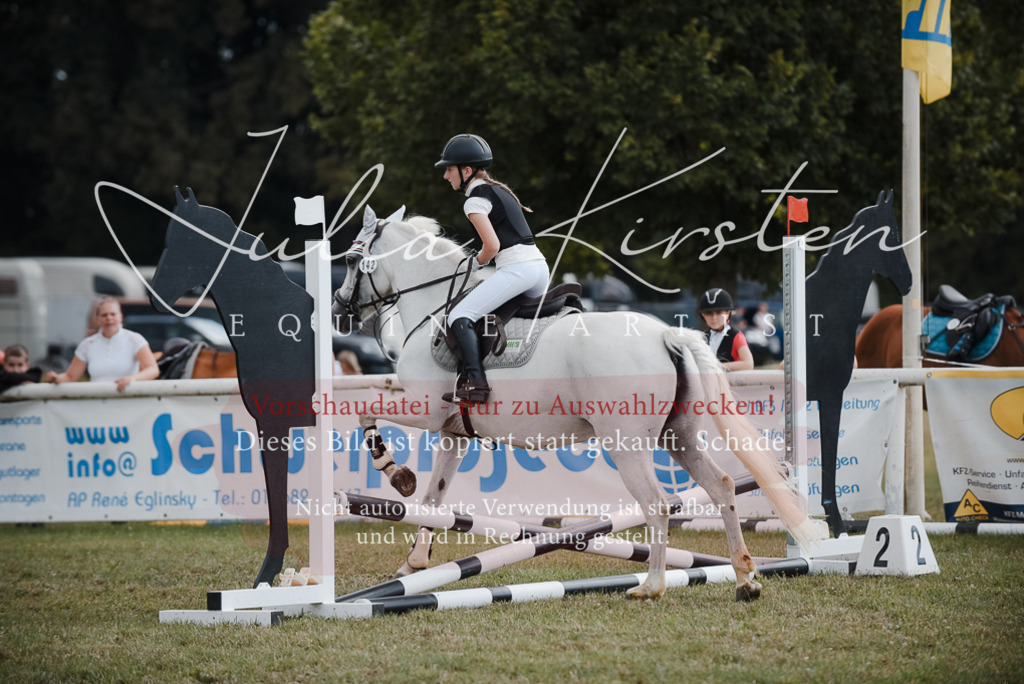 DSC_5536 | Pferde- und Turnierfotografie in Westsachsen. Pferdeportraits, Auftragszeichnungen und intuitive Kunst.