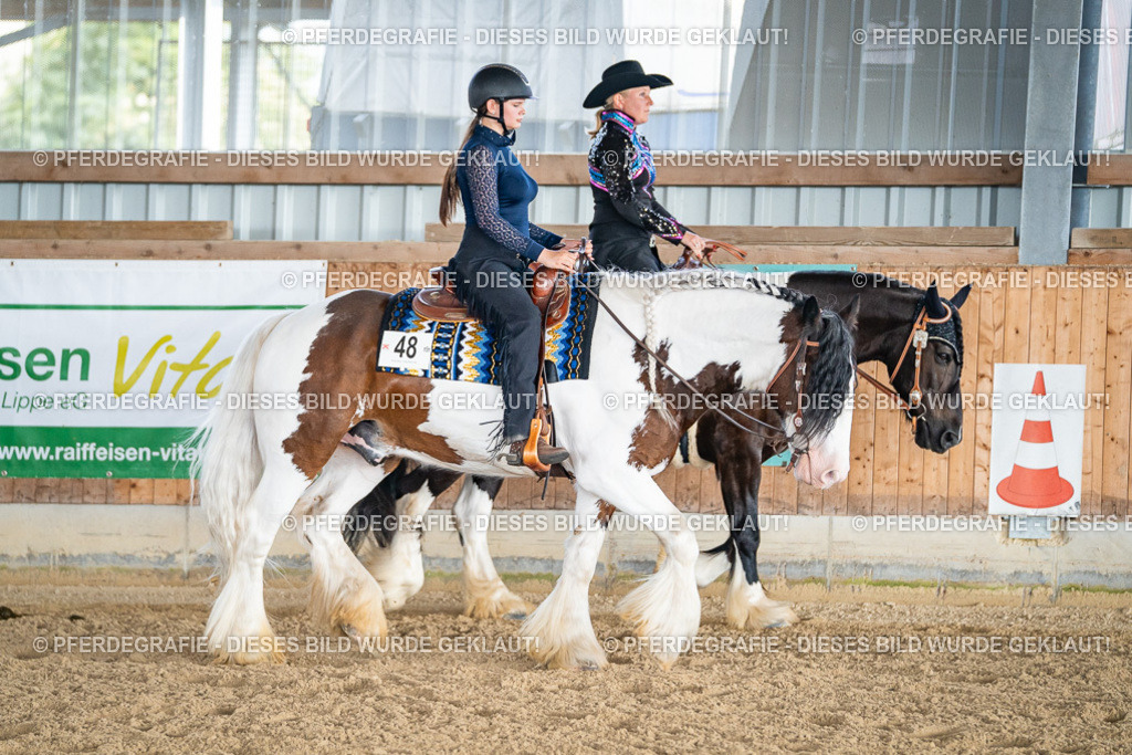 DSC08179 | Pferdegrafie