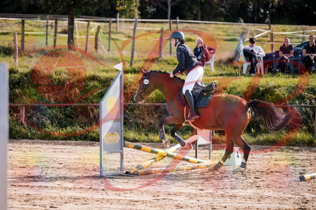 2026_10_03_Siefer-Hof_145709_Z81_38755952 | Professionelle Reitsport-, Turnier- und Eventfotografie von Robert Broda. Galerien mit ausgewählten und bearbeiteten Bildern direkt online ansehen und bestellen.