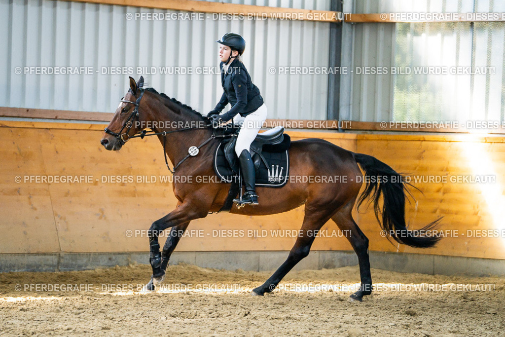 DSC01735 | Pferdegrafie