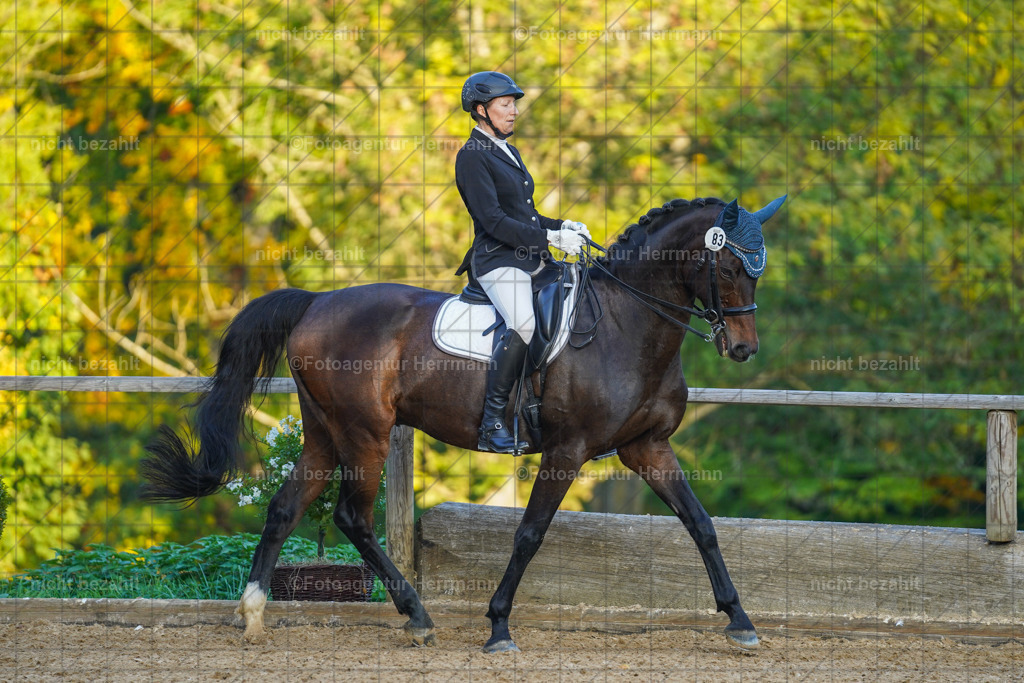 20221007-FAH00502 | Diessen am Ammersee, 2022, Dressur- und Springturnier, Reitsportbilder, Turnierfotografen Bayern, Pferdefotografen, Fotoagentur Herrmann, Turnierbilder