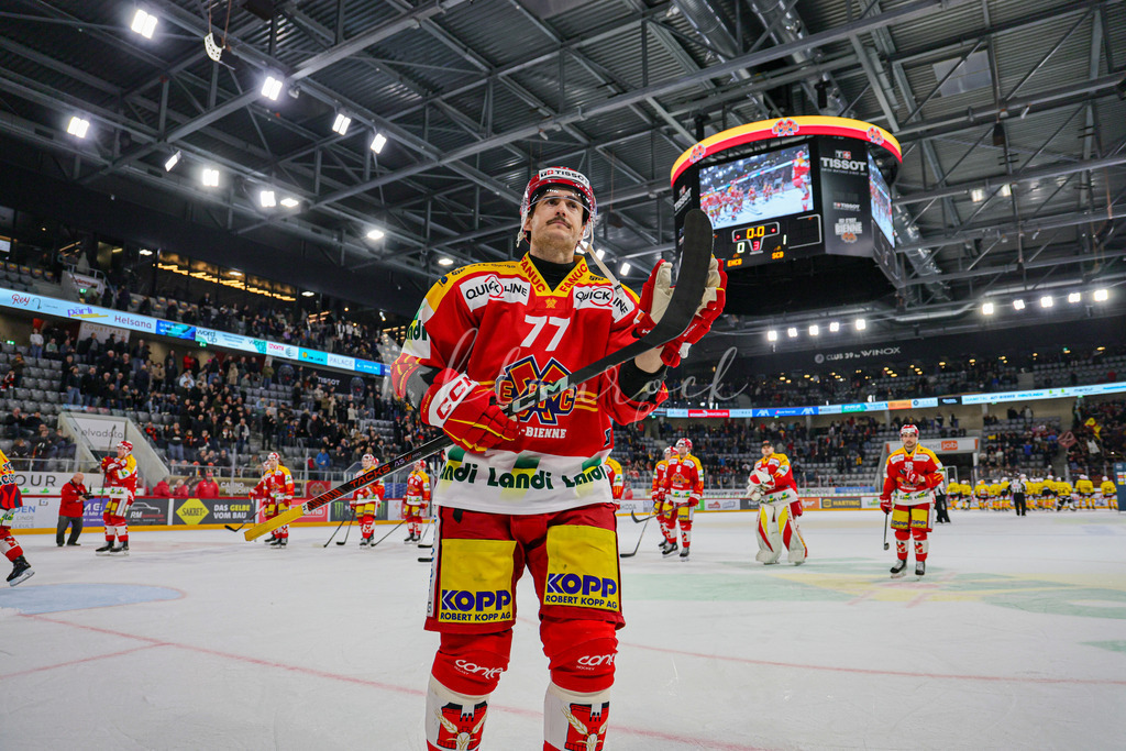 EHC Biel-Bienne - SC Bern - 29. November 2024 | EHC Biel-Bienne - SC BernTissot Arena, Biel-BienneBild: Waltraud Blaurock | Blaurock Pix
