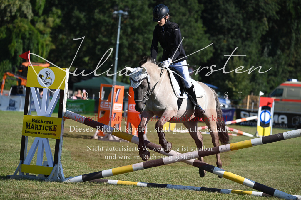 DSC_5243 | Pferde- und Turnierfotografie in Westsachsen. Pferdeportraits, Auftragszeichnungen und intuitive Kunst.