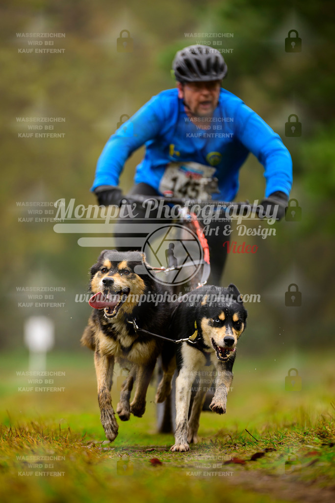 MompixPhotography_Bischwiller2025_Bike-126 | mompixphotography