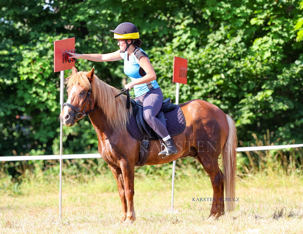 1B3A8501 | Reitsport Reiten