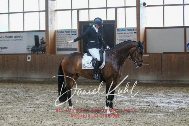 DKP43459 | Turniersportfotografie; Pferdefotografie; Dressurfotografie