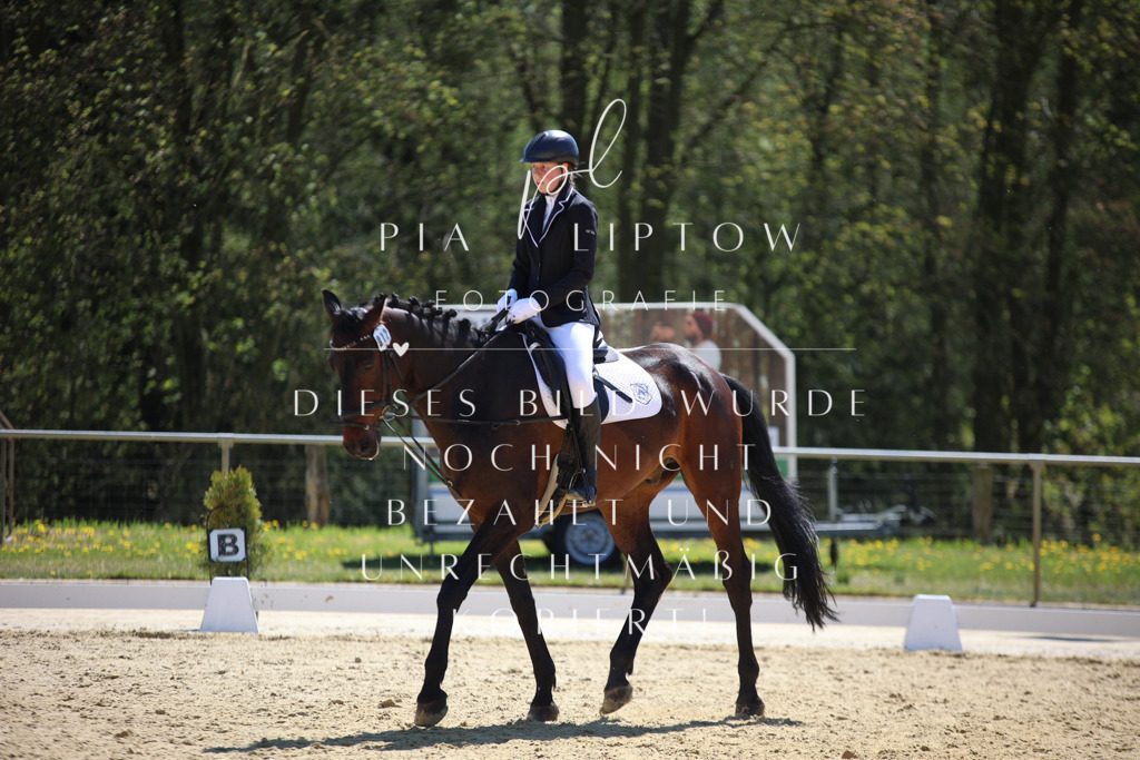 IMGT0724 | pl-fotografie