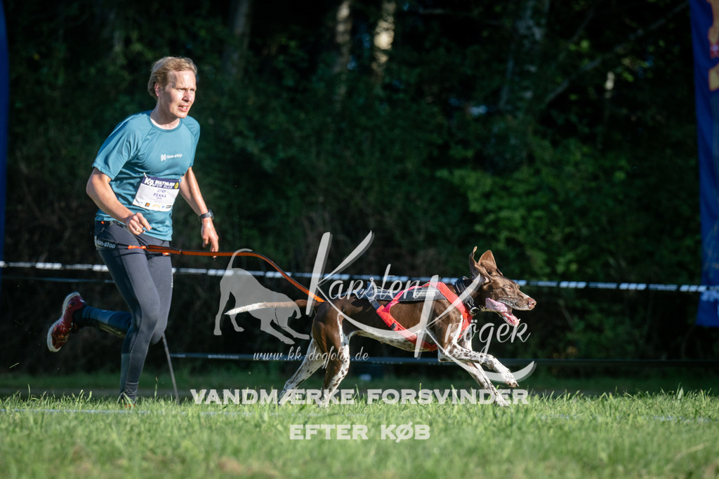 0812_ZZ92692 | kk-dogfotos