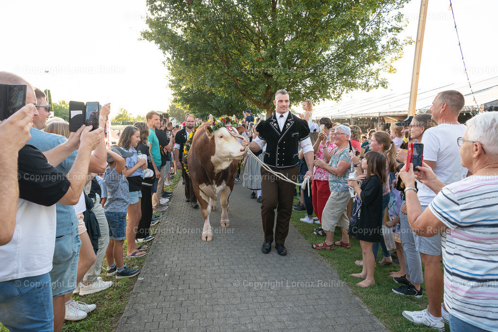 Schwingen -  Unspunnen Empfang 2023 | Wigoltingen, 2.9.23, Schwingen - Unspunnen Empfang.