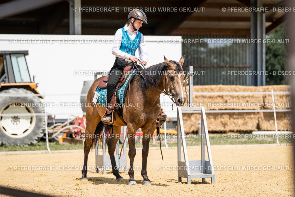 DSC00988 | Pferdegrafie