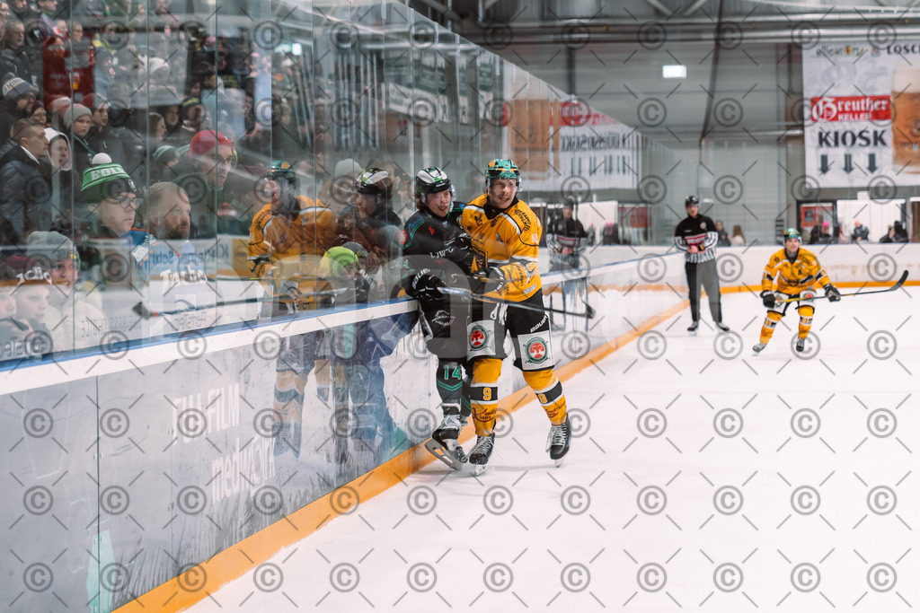 Alligators_vs_Toelz_18_11_2025-65 | Höchstadt Alligators Fotogalerie: Eishockey-Action aus Franken. Professionelle Spielfotos, Portraits & Stadionbilder zum Download. Jetzt entdecken! - Realisiert mit Pictrs.com