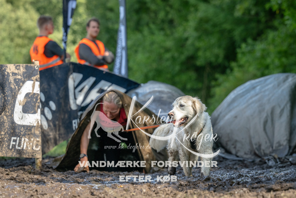 1552_ZZ91913 | kk-dogfotos