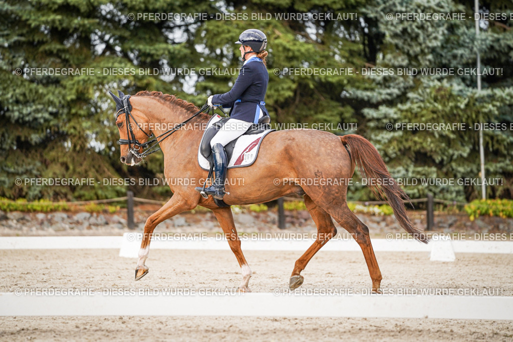 DSC08801 | Pferdegrafie