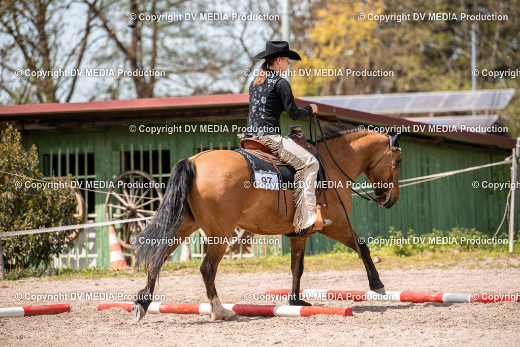 Balingen Tag 4-635 | dv-media-shop - Realisiert mit Pictrs.com