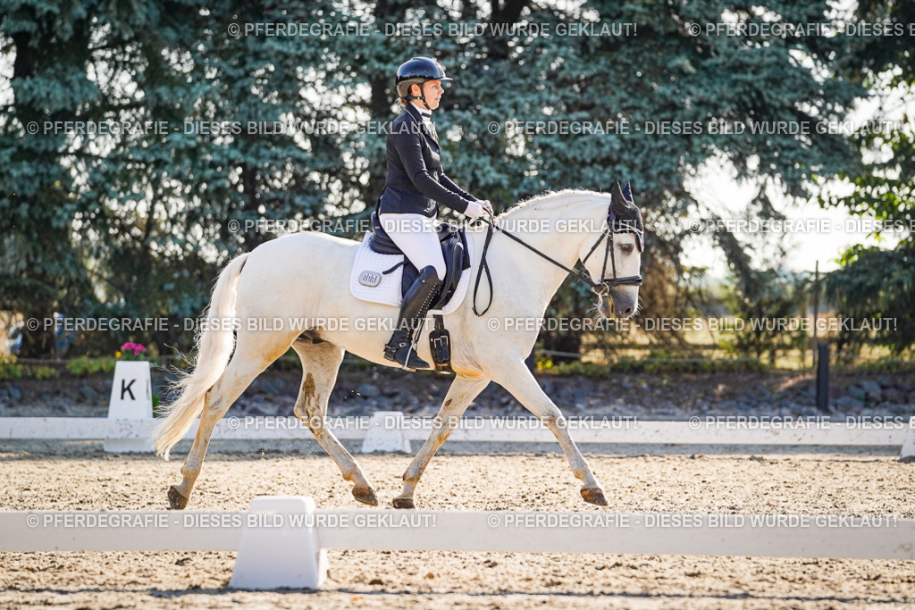 DSC08769 | Pferdegrafie