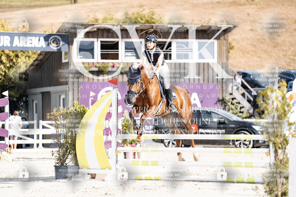 CK909107 | Turnierfotografie Pferdefotografie Trier Rheinland-Pfalz Pferdesport Reitsport Tierfotografie Sportfotografie Pferdevideo Pferdevideografie Equestrianvideography equestrianphotography  - Realisiert mit Pictrs.com
