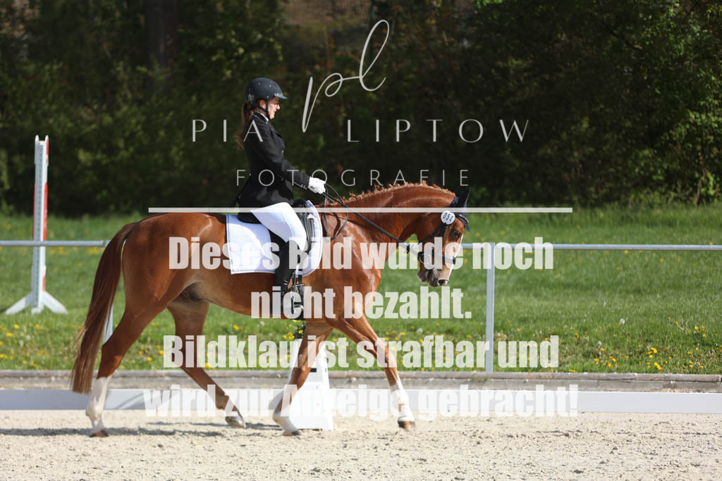IMGM4149 | pl-fotografie