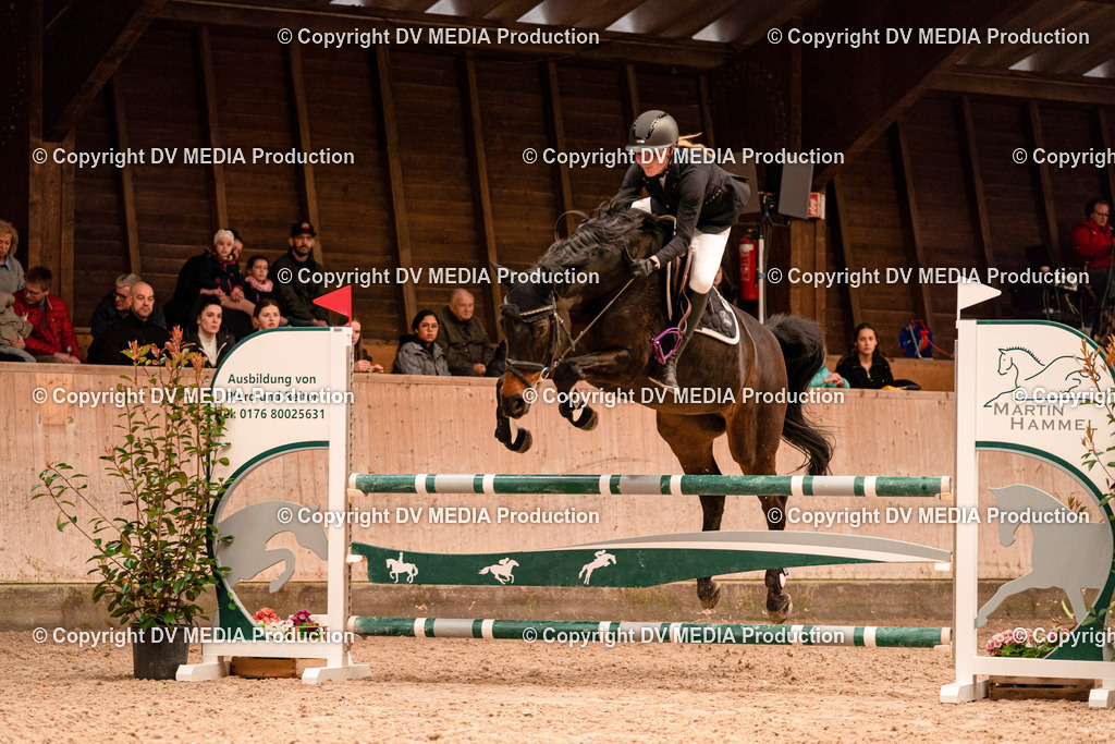 Springen Tag 2-294 | dv-media-shop - Realisiert mit Pictrs.com