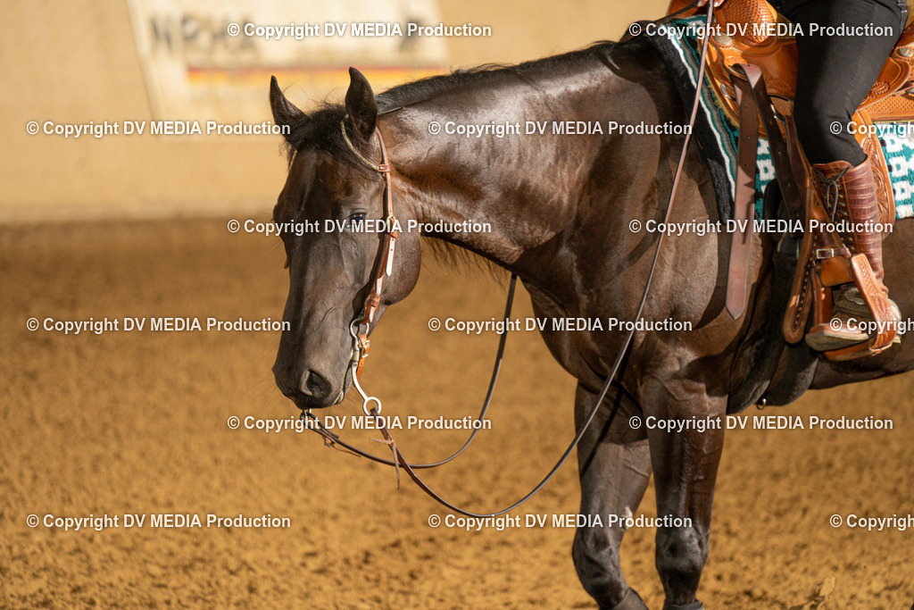 LAU00757 | dv-media-shop - Realisiert mit Pictrs.com