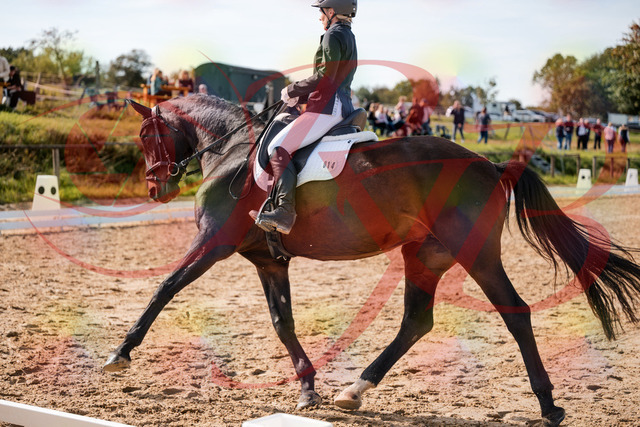 2026_10_03_Siefer-Hof_133421_Z63_92693493 | Professionelle Reitsport-, Turnier- und Eventfotografie von Robert Broda. Galerien mit ausgewählten und bearbeiteten Bildern direkt online ansehen und bestellen.