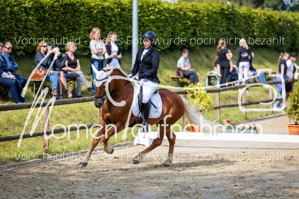 Donop24-A2-Dre-083 | MomenTaufnahmen Pferdesportfotos