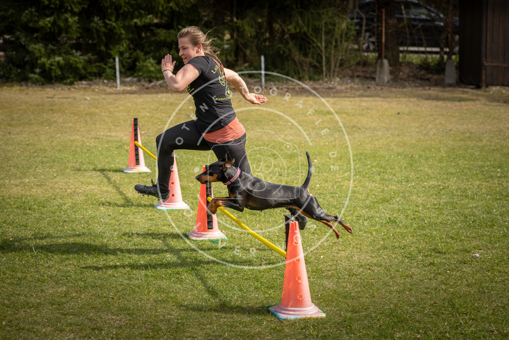 Pfotenfotografie_DV3A9442 | Hundefotografie, Tierfotograf, Pfotenfotografie, Fotoshooting Hund, Hunde Portrait, Hundesport, Hundeportraits, Heideshooting, Hunde, Sportfotograf, Hundefotograf, Turnierhundsport, THS,  - Realisiert mit Pictrs.com