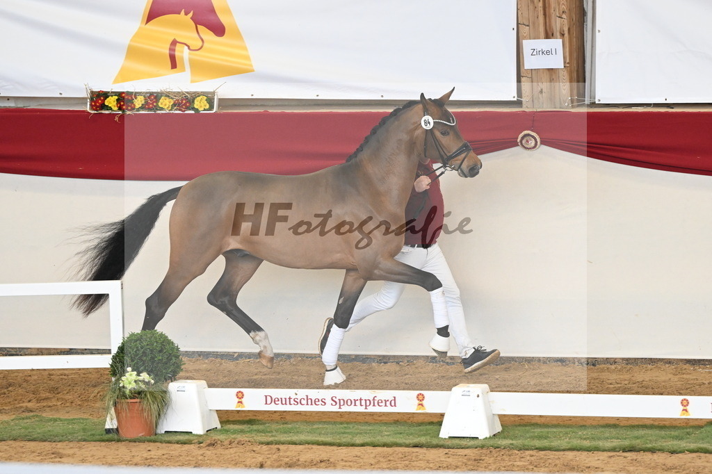 Kat.-Nr. 84 v. Velvedere_Kleinekoerdt_3261224 | hf-fotografie - Realizzato con Pictrs.com
