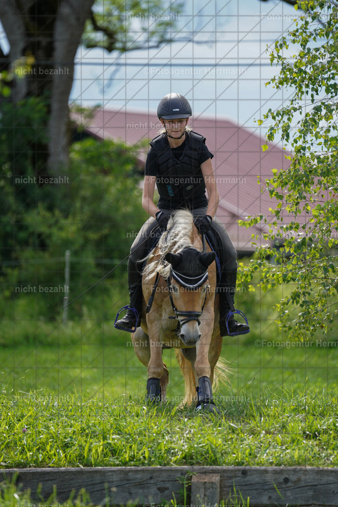 20240622-FAH08022 | Turnierfotografen Bayern, Reitsportbilder aus dem Geländekurs mit Felix Etzel auf dem Gut Waitzacker 2024