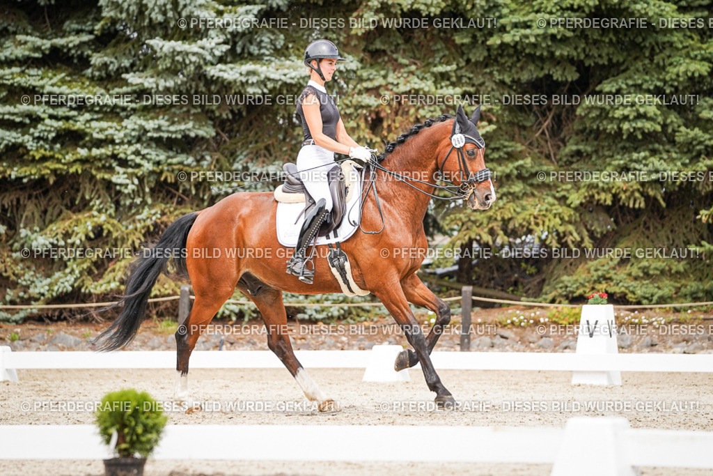 DSC05940 | Pferdegrafie