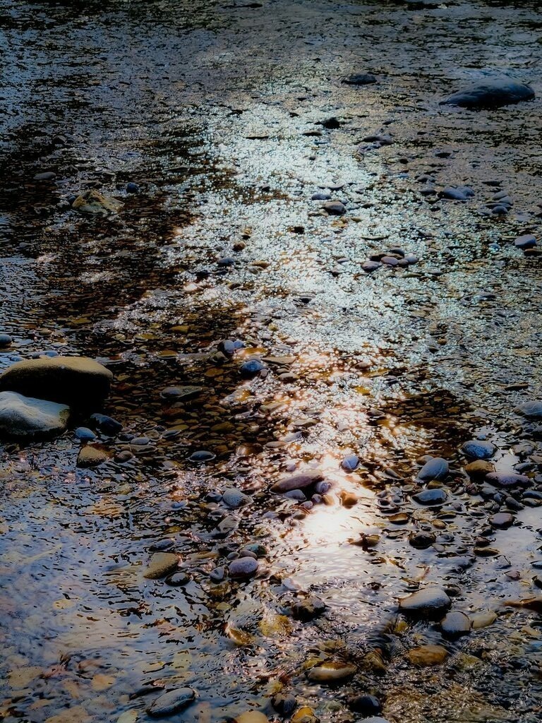 PSX_20220422_180607 | mtkfoto_ - Realisiert mit Pictrs.com