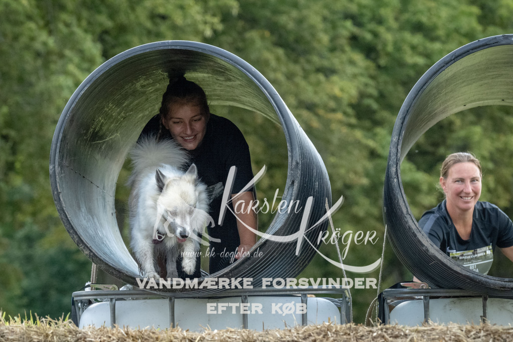 1046_ZZ93105 | kk-dogfotos