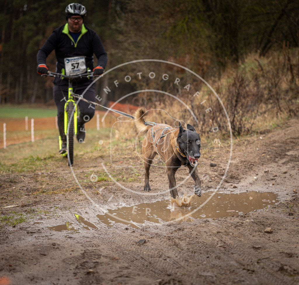 DV3A9480 | Hundefotografie, Tierfotograf, Pfotenfotografie, Fotoshooting Hund, Hunde Portrait, Hundesport, Hundeportraits, Heideshooting, Hunde, Sportfotograf, Hundefotograf, Turnierhundsport, THS,  - Realisiert mit Pictrs.com