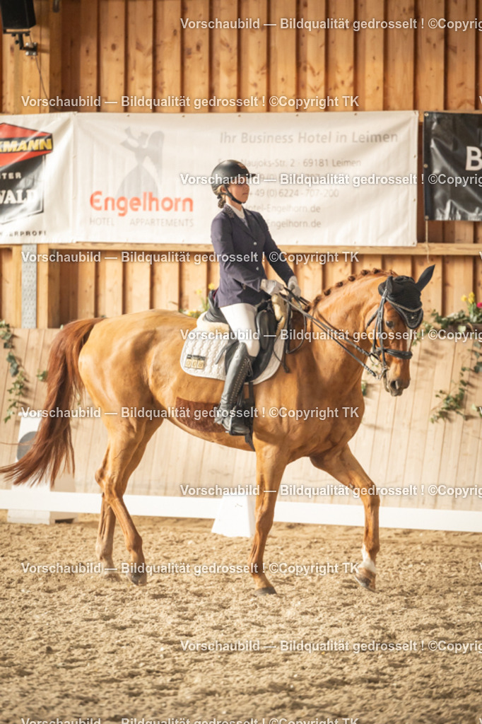 _D5A3268 | Emotionale Pferde- & People-Fotografie rund um Heidelberg, Leimen & Umgebung. Natürliche Fotos von Pferd, Mensch & Familie. Jetzt Termin sichern!