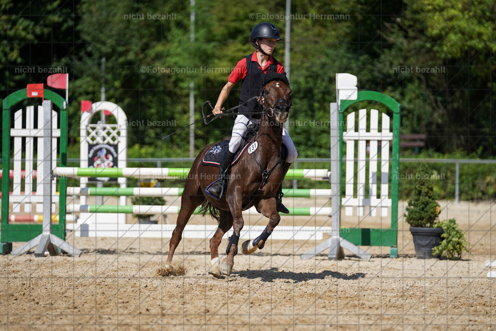 20240824-FAH08338 | Thierhaupten 2024, Bayerisches Landesponyturnier, Turnierbilder, Ponybilder, Turnierfotografen Bayern, Fotoagentur Herrmann