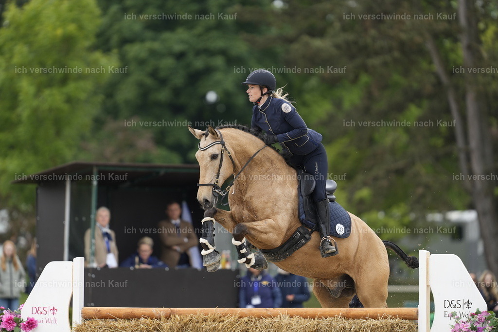 PI26_SP_Stoibphotography_A747291.JPG | working equitationturnier fotograf videograf stoibphotography marixx film working equitation deutschland reitsport turnierfotografie eventfotografie equestrian events