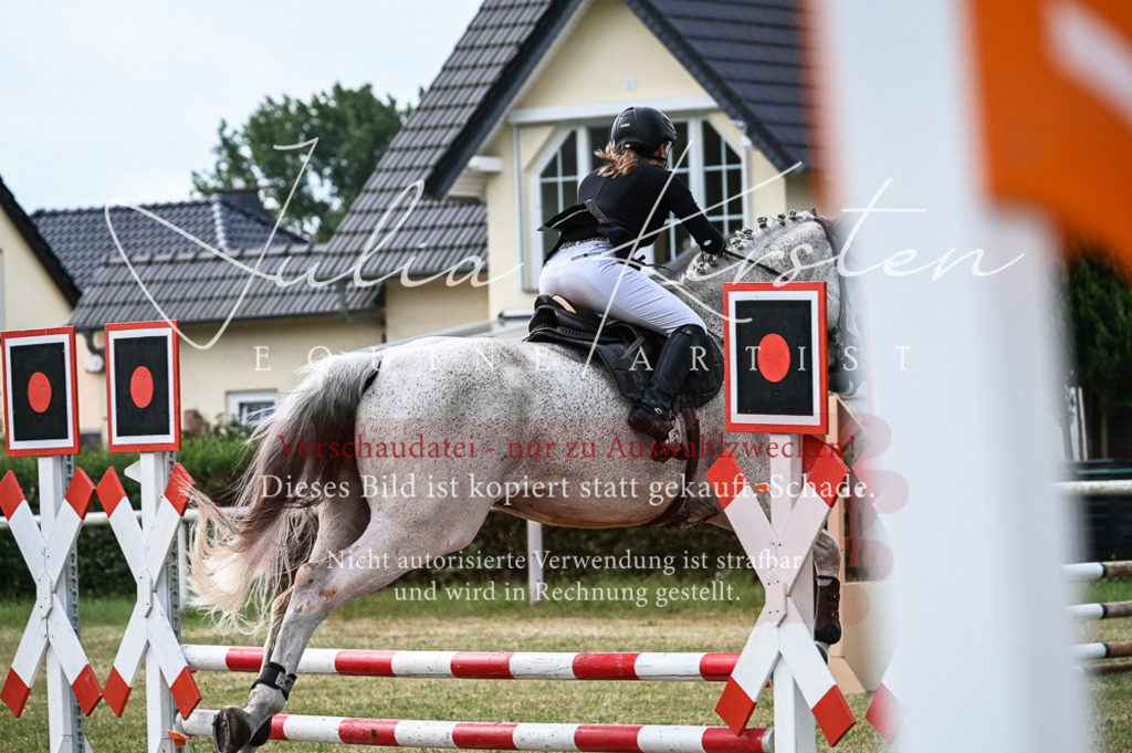 DSC_8342 | Pferde- und Turnierfotografie in Westsachsen. Pferdeportraits, Auftragszeichnungen und intuitive Kunst.
