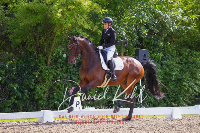 DKP41509 | Turnierfotos kaufen im Webshop von Daniel Kuhl Photography – entdecke professionelle Reitsportfotos aus Turnieren & Events. Hochwertige Turnierbilder online bestellen & sichern. Jetzt Fotos von Reitsportturnieren kaufen!